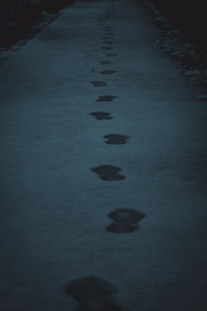 footprints in snow covered path
